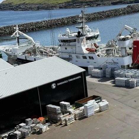 Borgarin landar í Miðvági