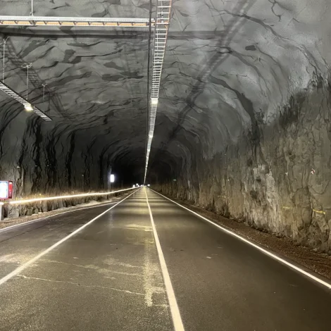 Dalstunnilin letur upp seinnapartin