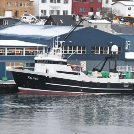Fuglberg og Skoraberg landa gulllaks á Kósini
