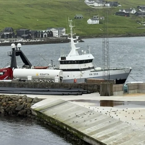 Norðfinnur landaði í gjár