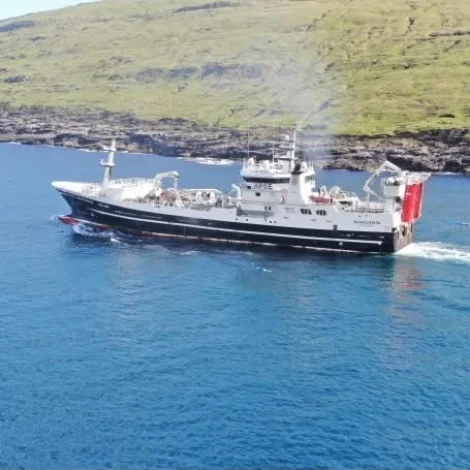 Borgarin landar gulllaks í Miðvági