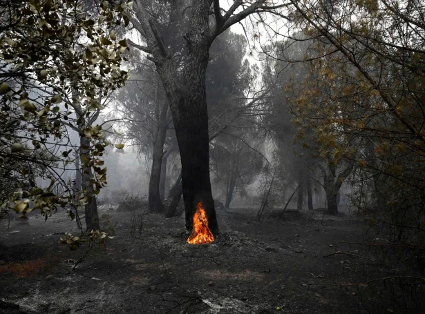 (Mynd: Miguel Riopa/AFP/Ritzau Scanpix)