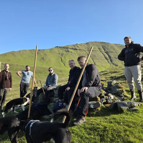 Myndir: Í royting á Oknadali