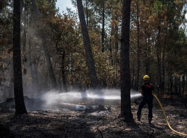 (Mynd: Olivier Morin/AFP/Ritzau Scanpix)