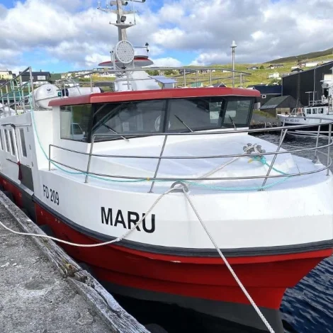 Maru komin á Strendur