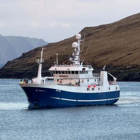 168 tons av frystum fiski boðin út á Fiskamrrknaðinum í morgun