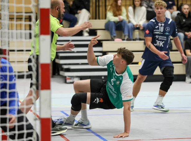 (Mynd: Sverri Egholm)