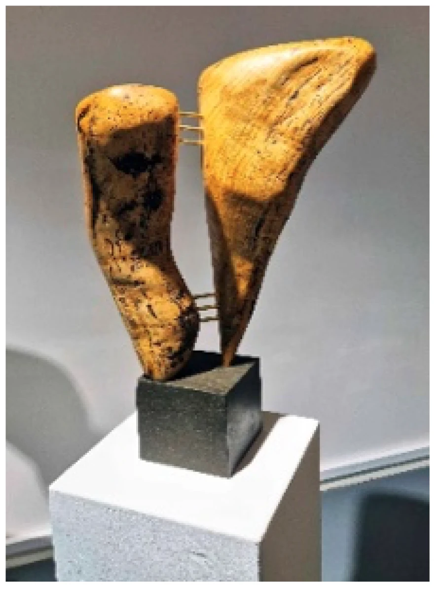[object Object]